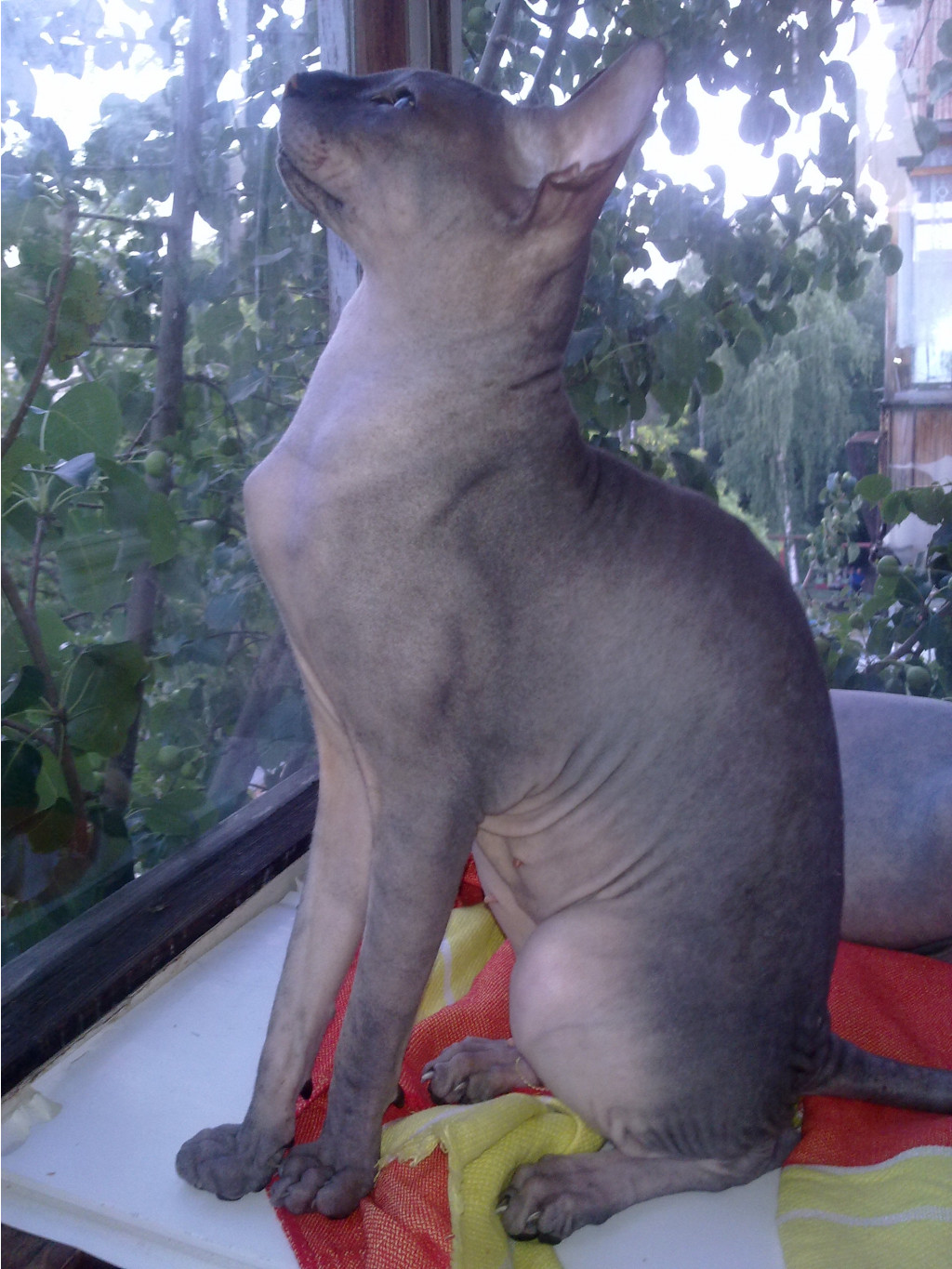29072011251.jpg