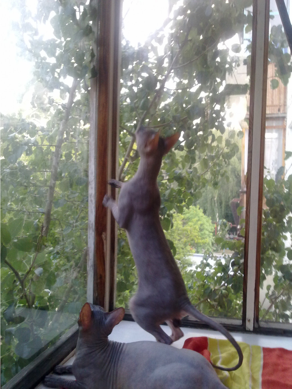 29072011259.jpg
