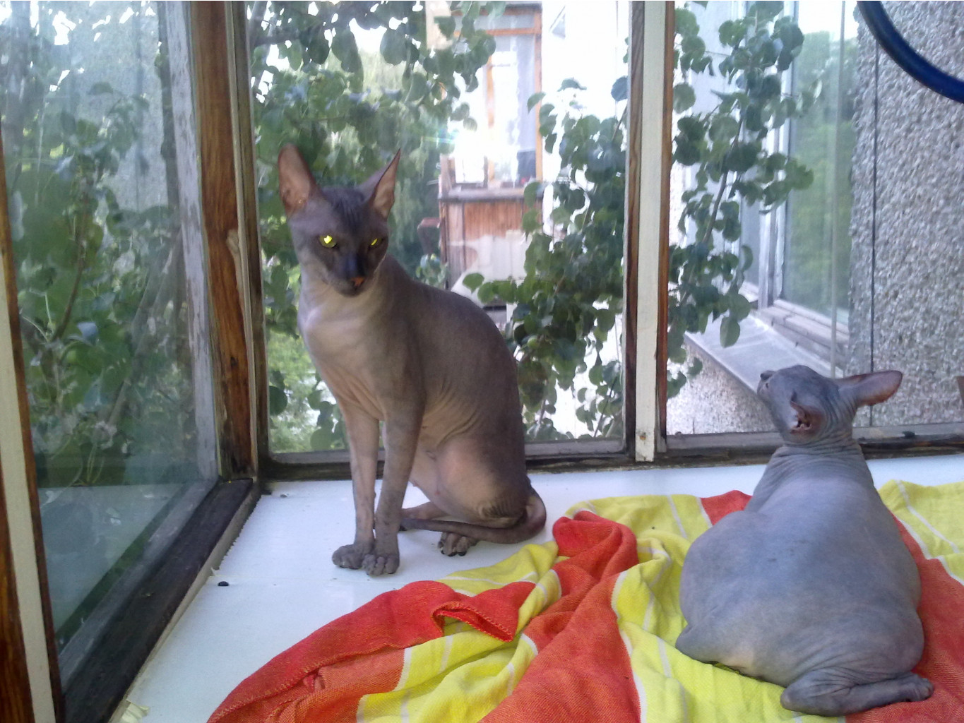 29072011266.jpg