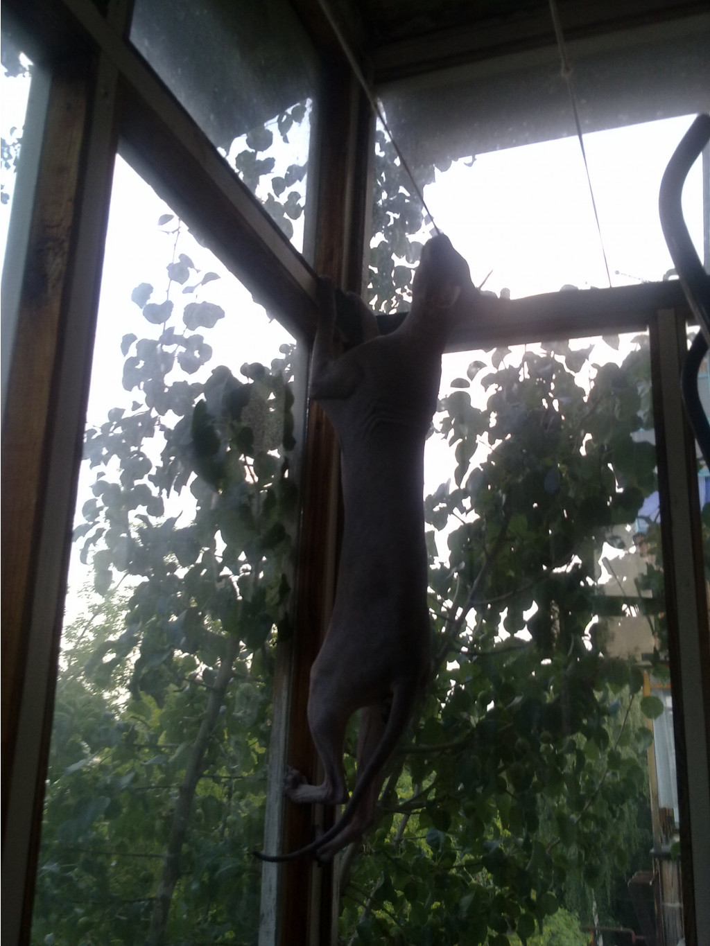 29072011262.jpg