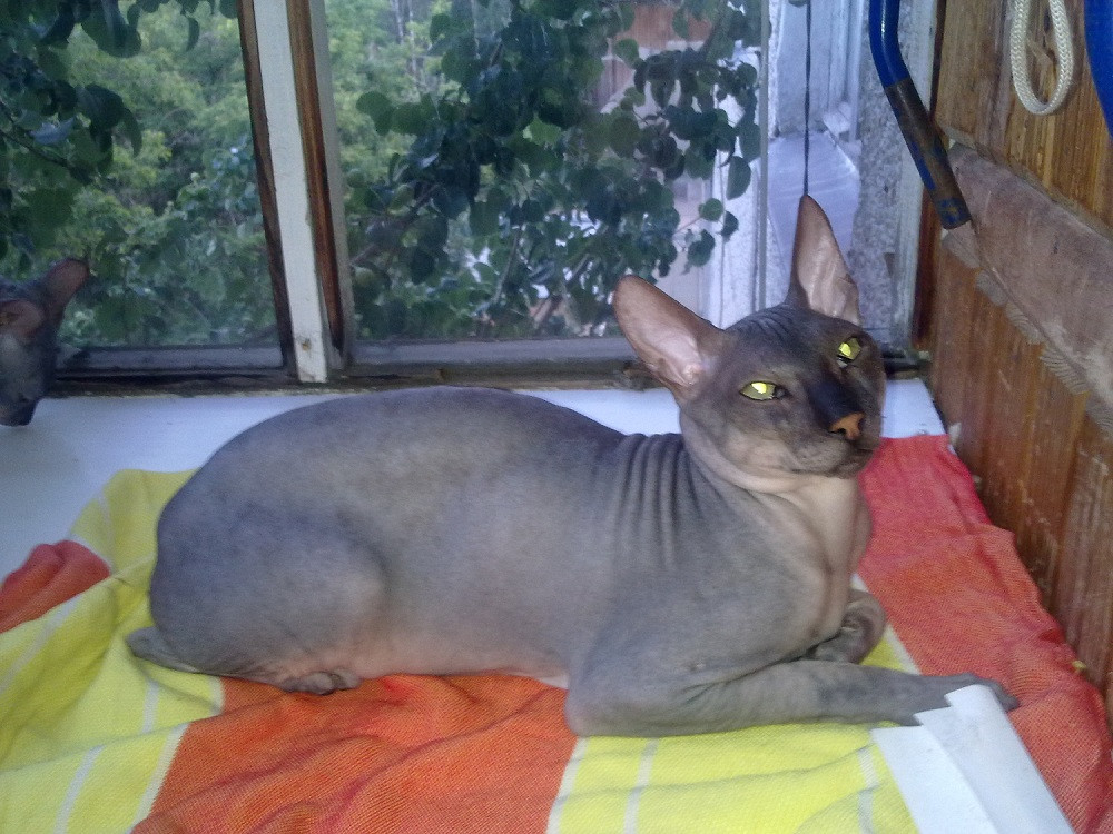29072011282.jpg