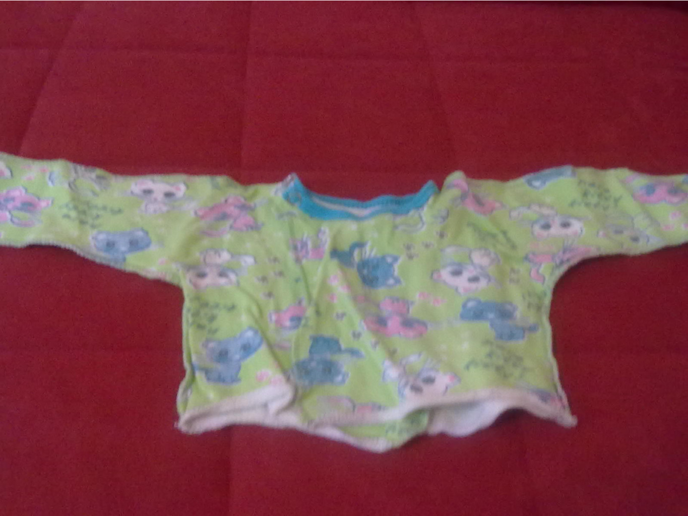 24082011075.jpg