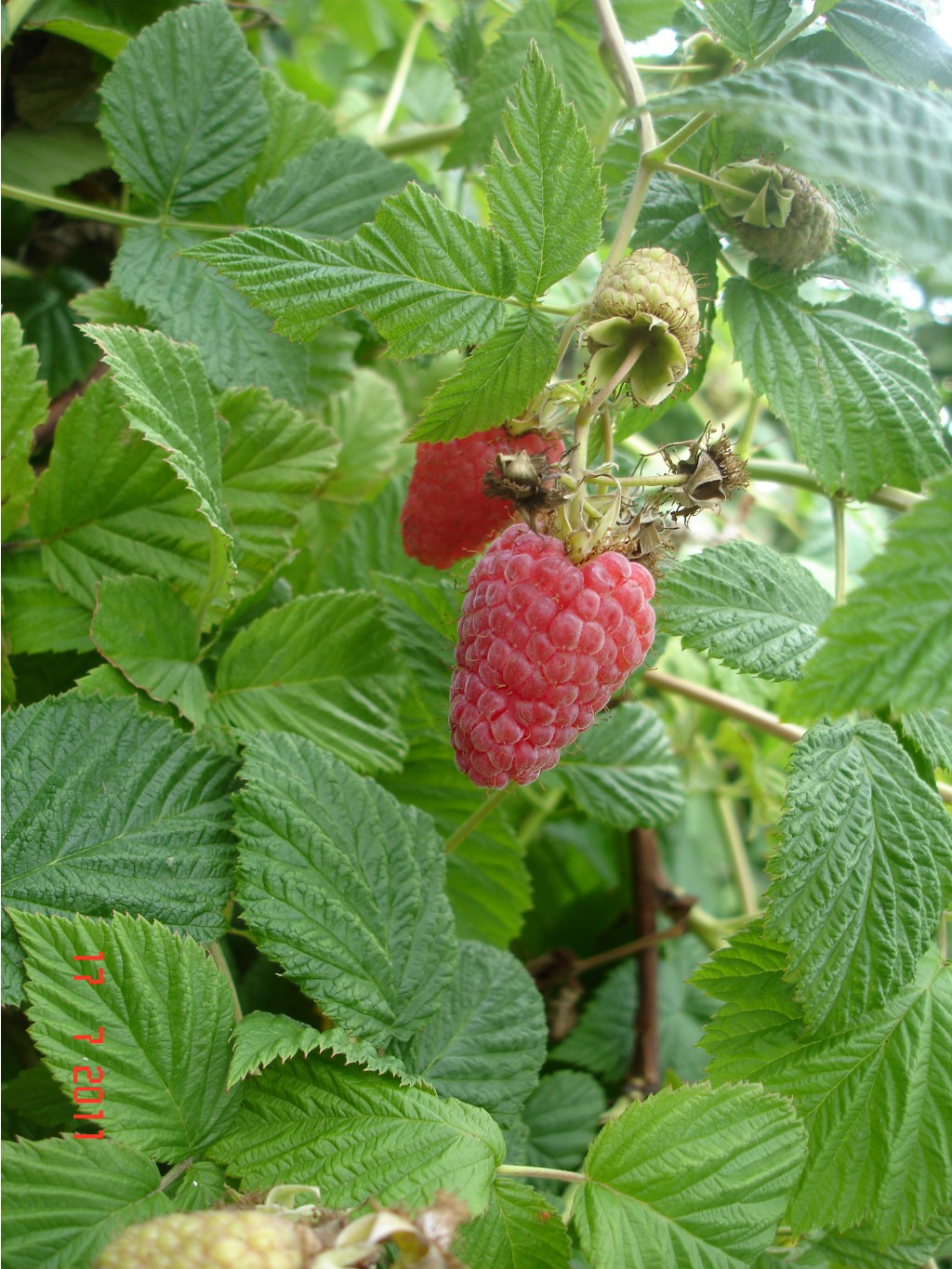  166.jpg