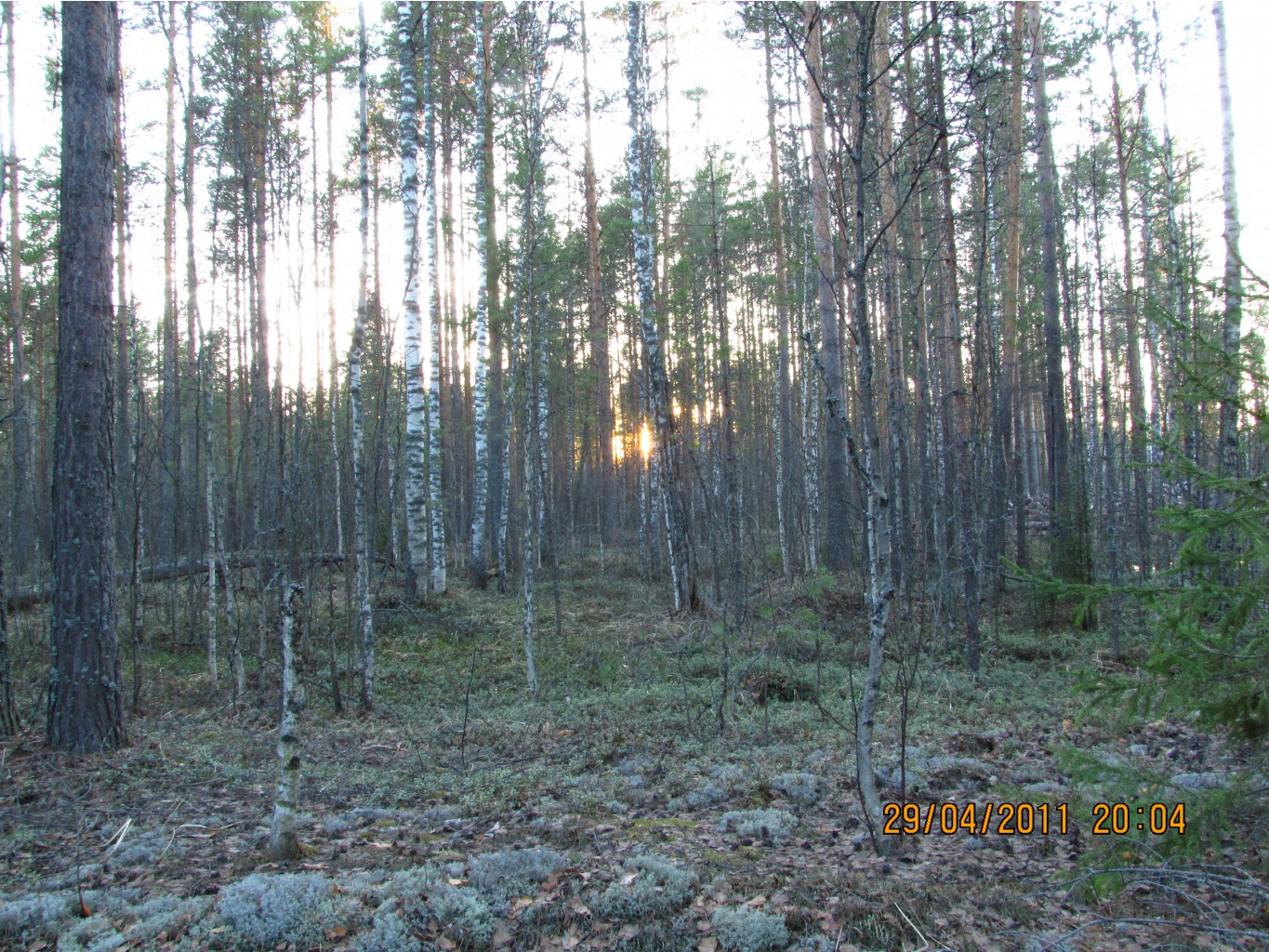 IMG_5430.JPG