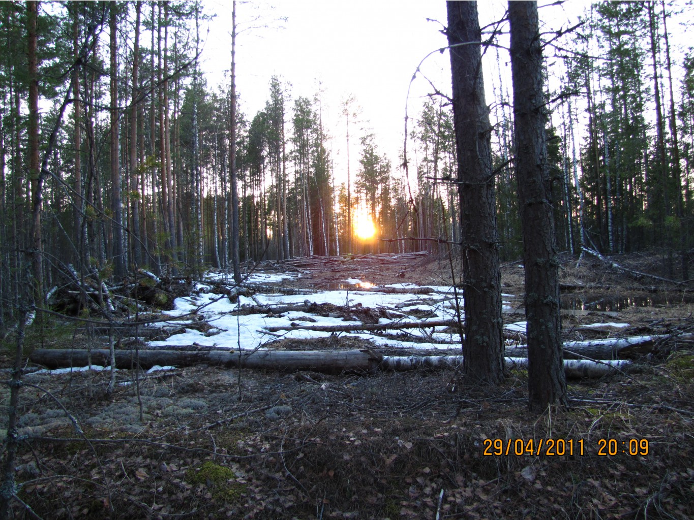 IMG_5433.JPG
