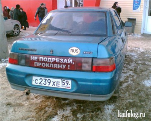 1313663096_014.jpg