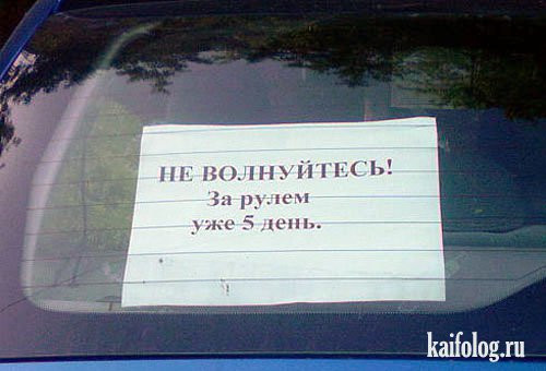 1313663145_029.jpg