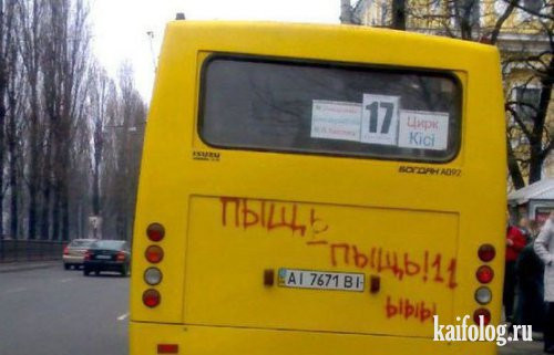 1313663159_040.jpg