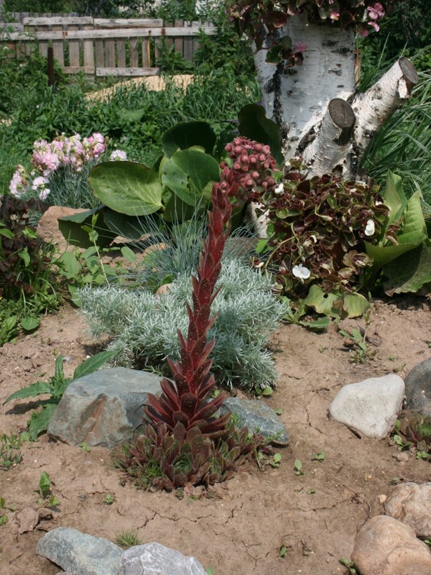 8.07.11 047.jpg