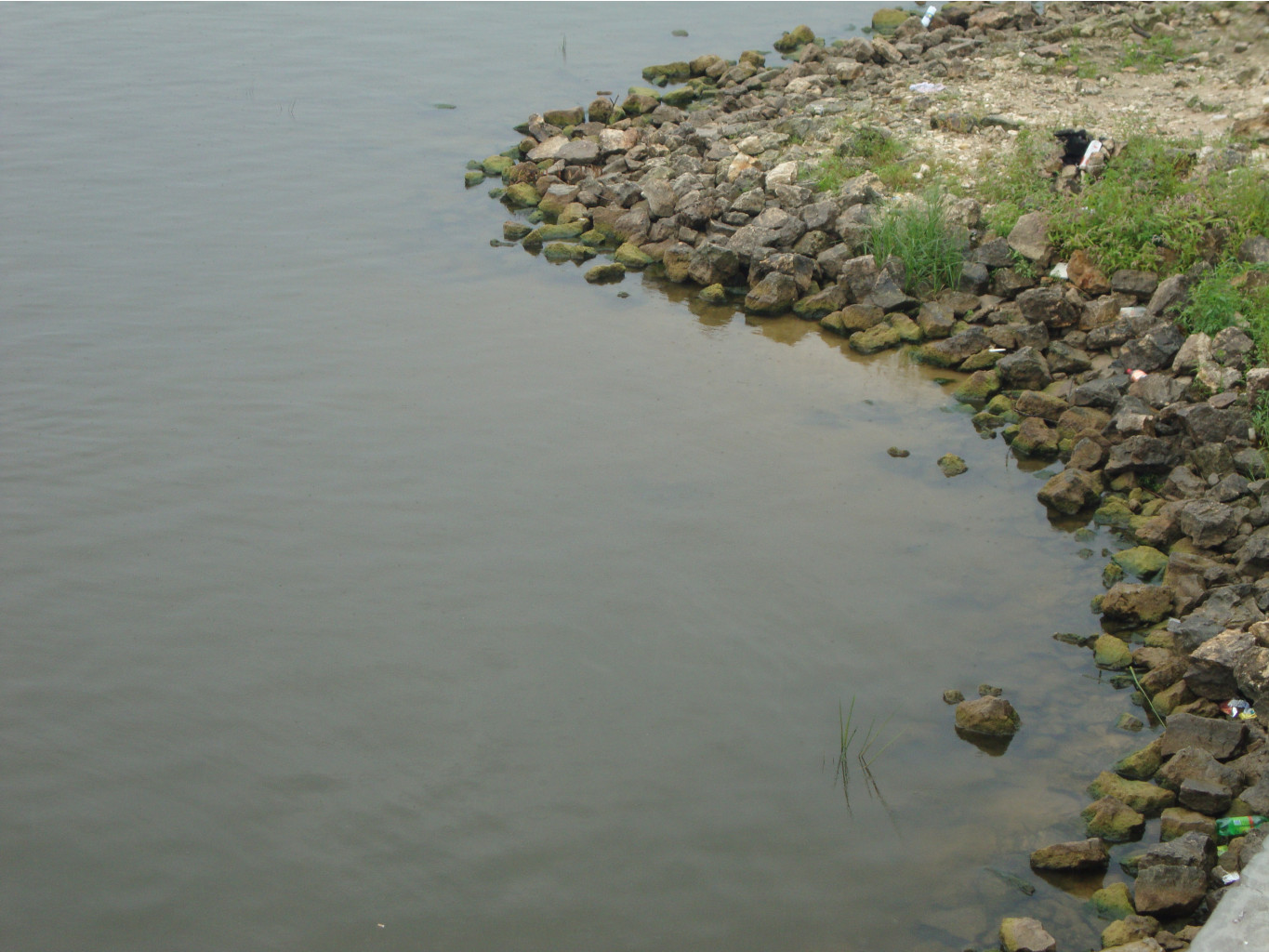 DSC01611.JPG