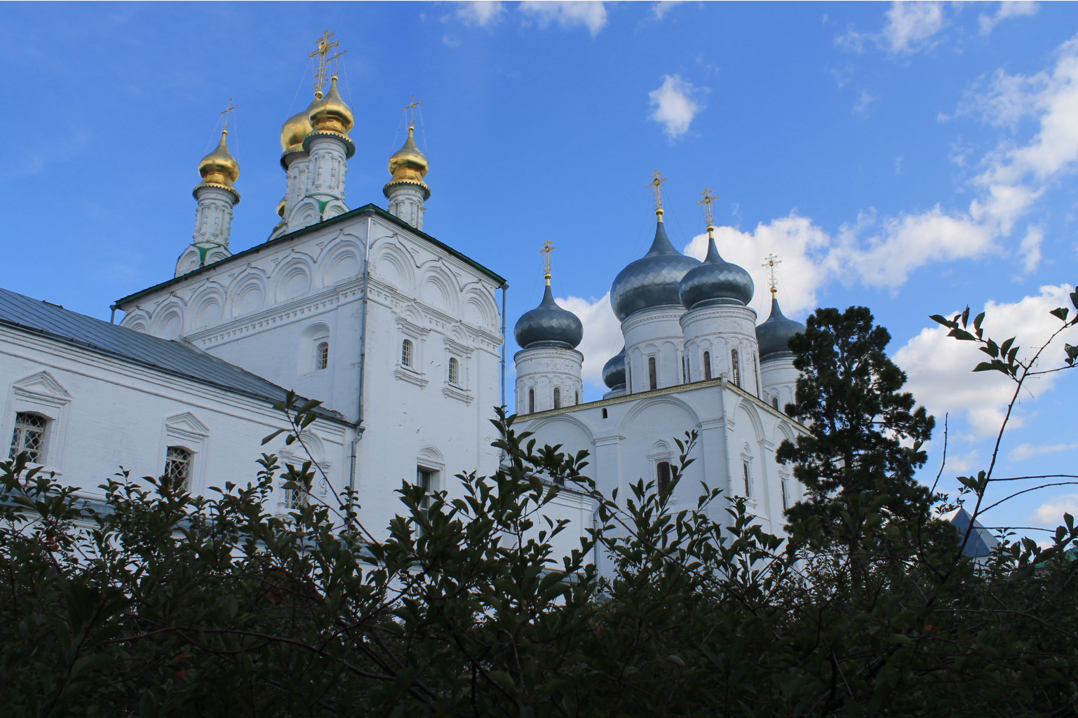 IMG_9678.JPG