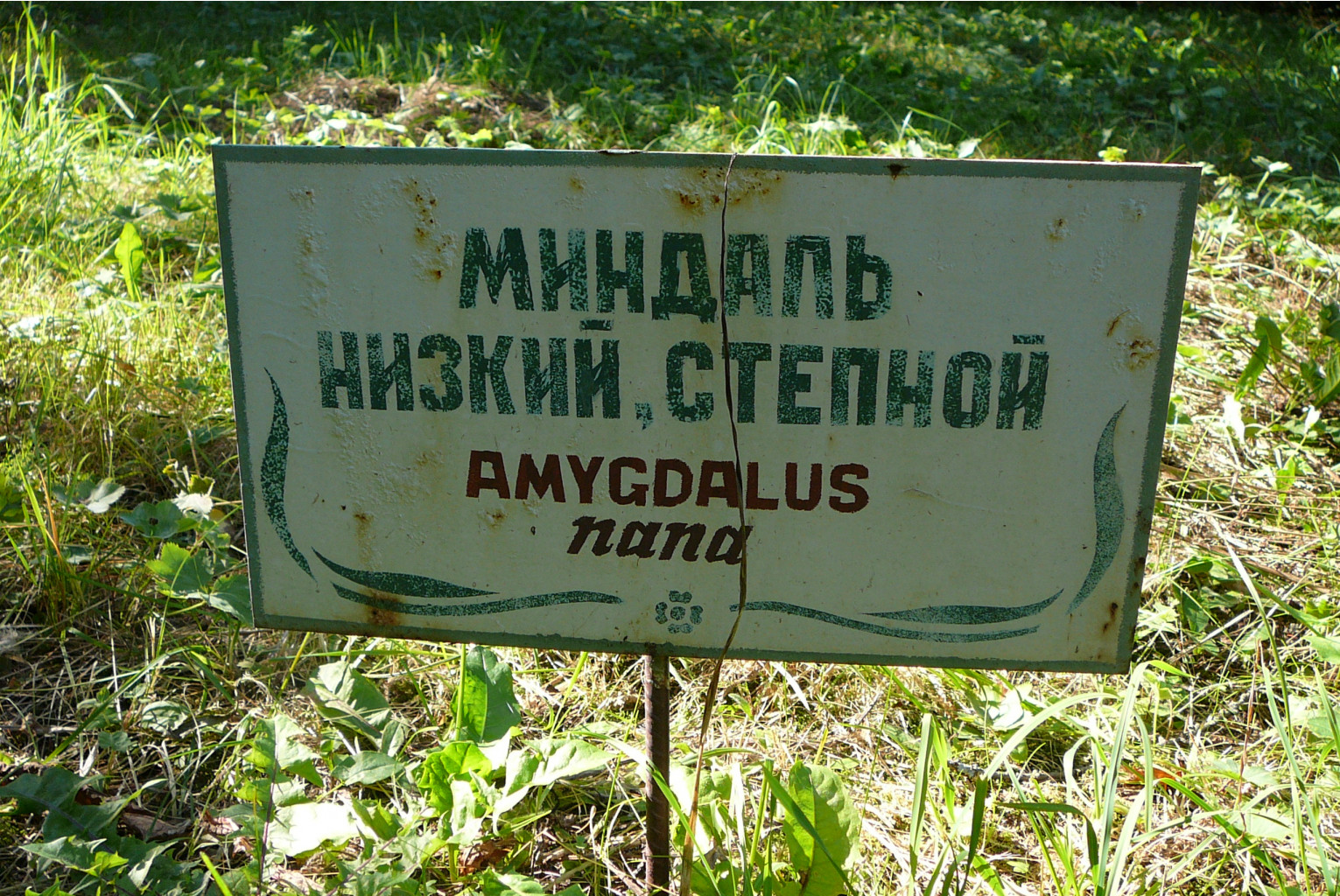 P1190514.JPG