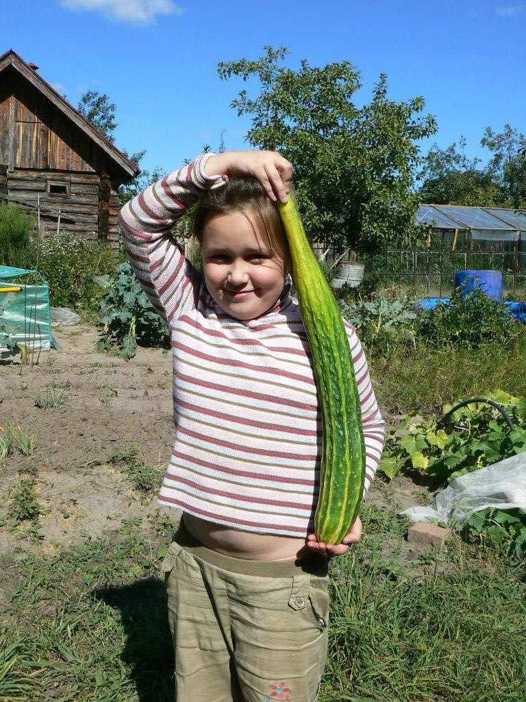 ,  54 .