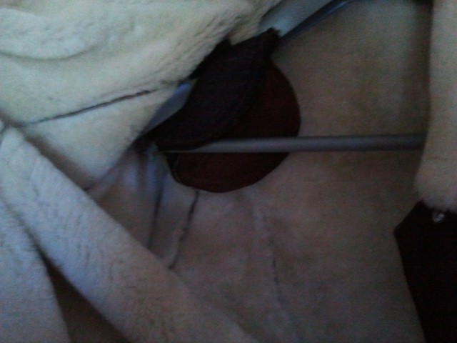 2011-09-04 12.17.39.jpg