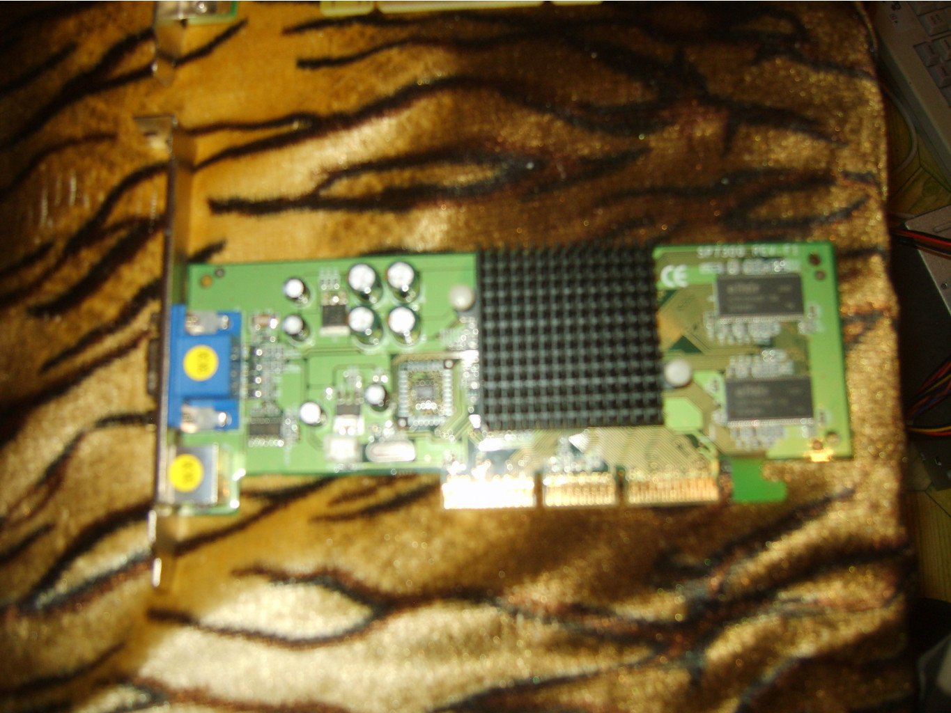 S8303965.JPG