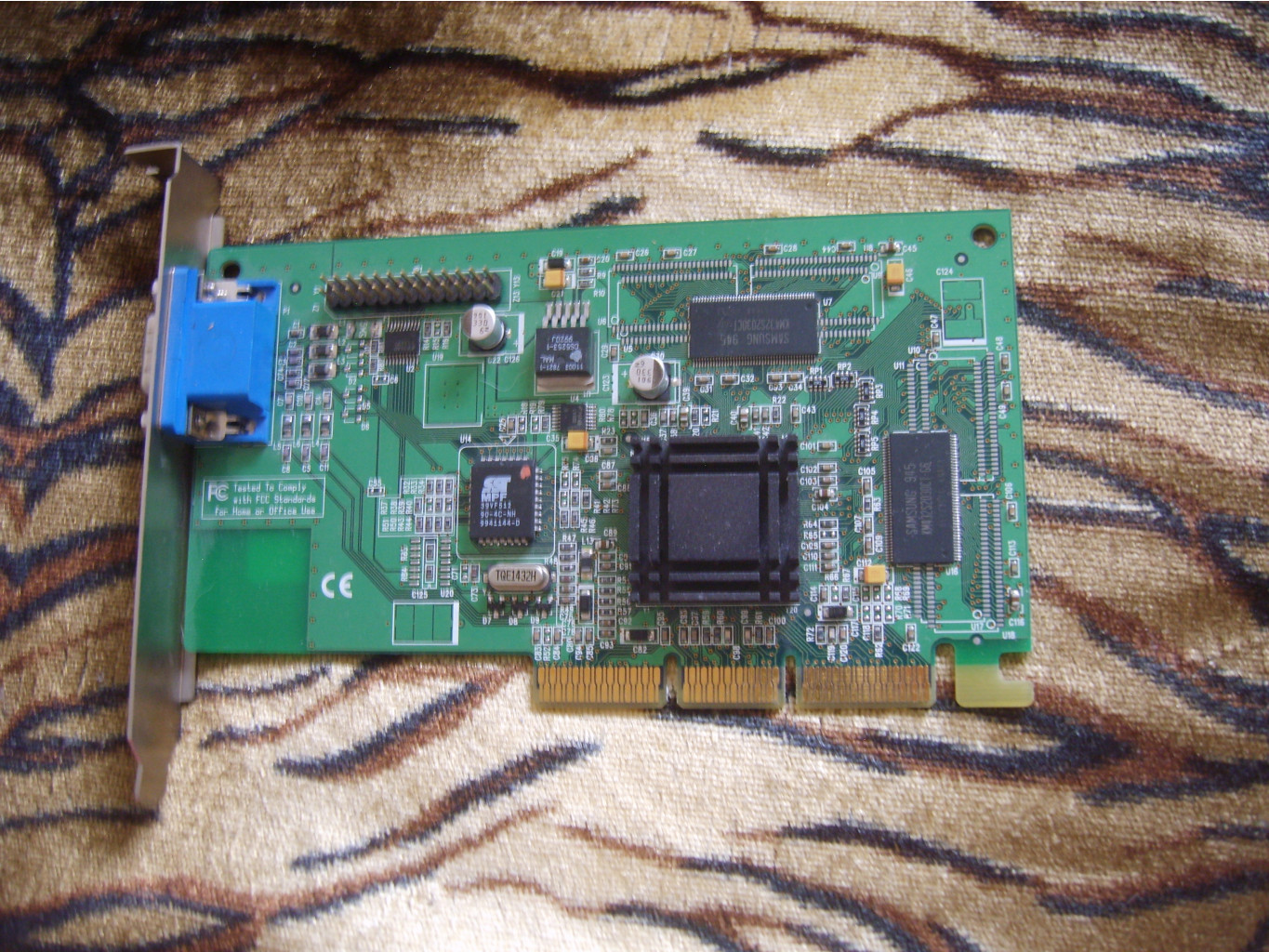 S8303915.JPG
