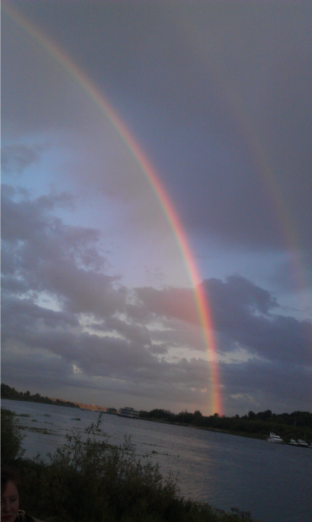 IMAG0407.jpg