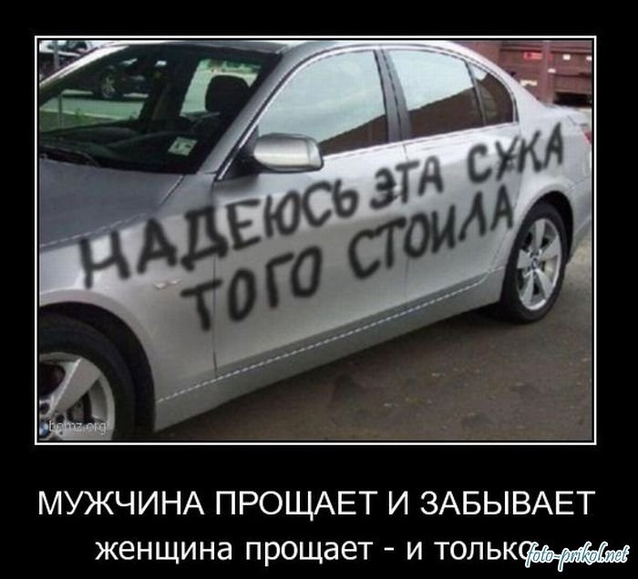 .jpg