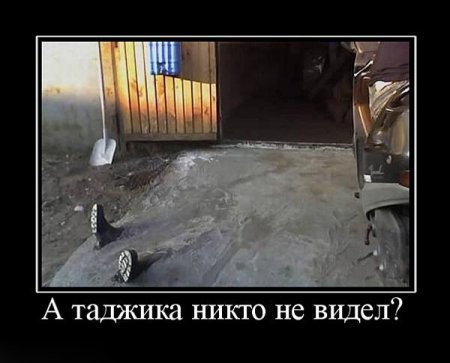 .jpg