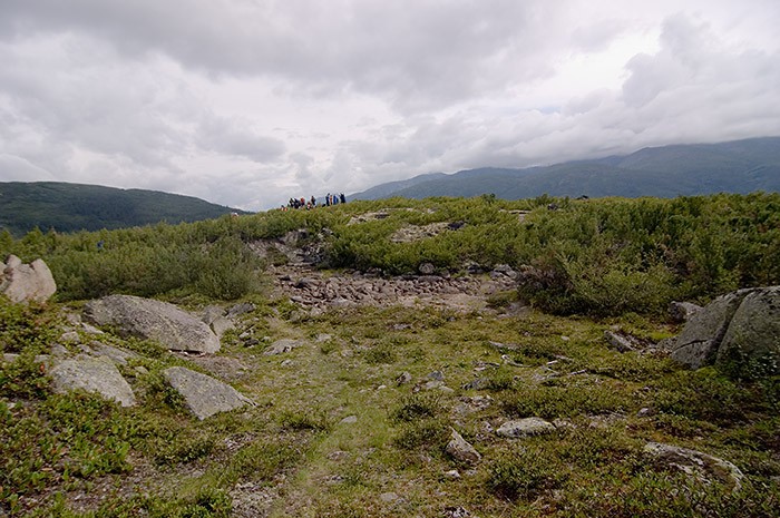 _DSC7848.jpg
