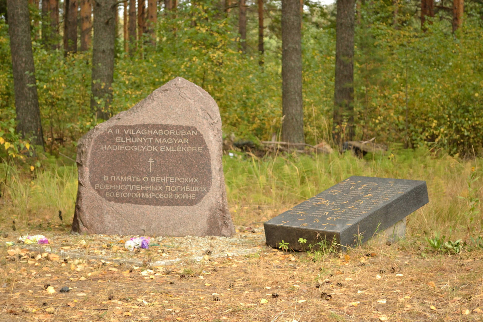DSC_0198 .jpg