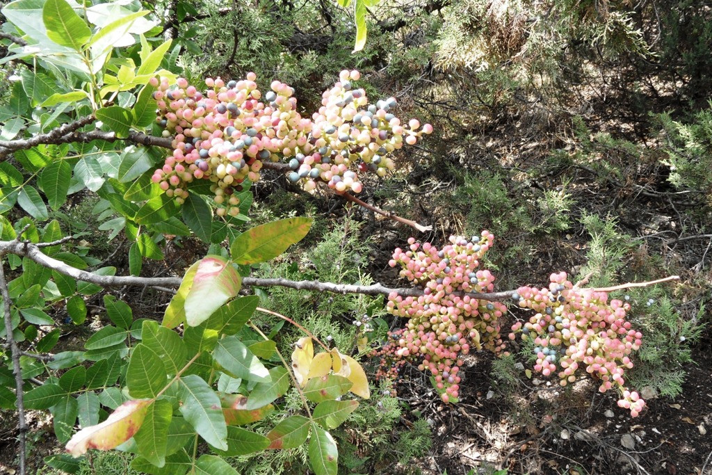  2011.08.23 14.56.31.JPG