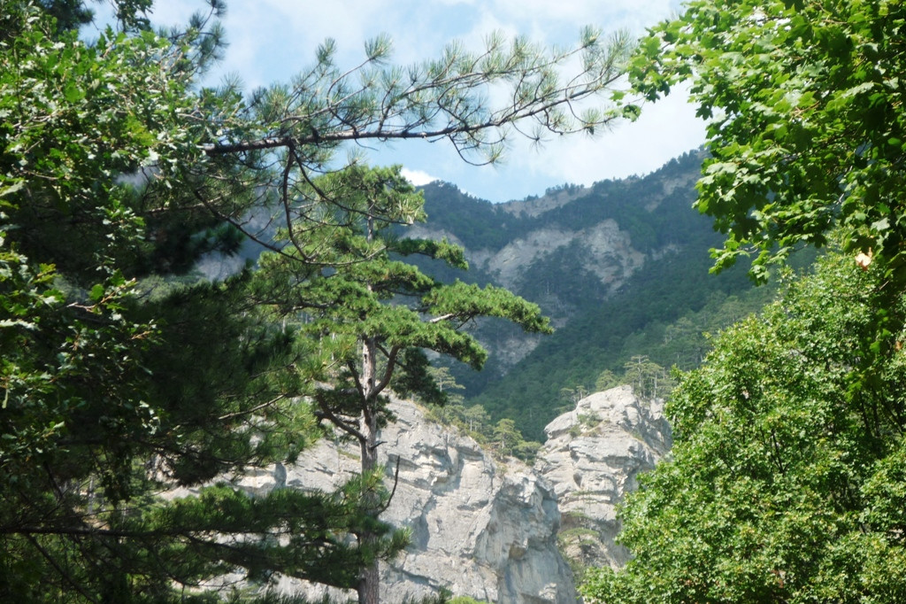  2011.08.25 13.22.03.JPG