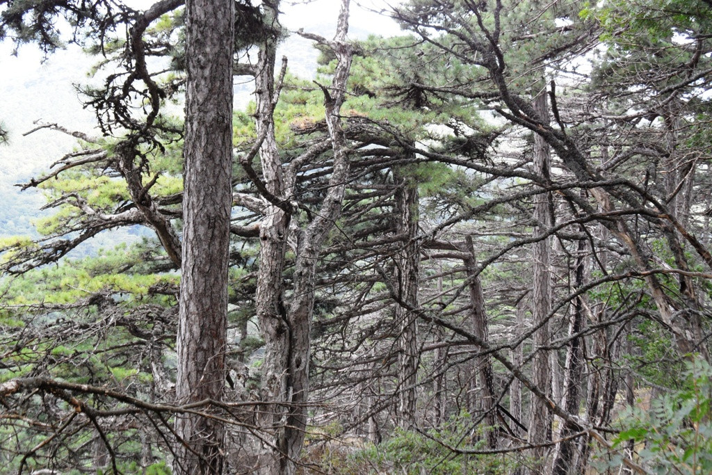  2011.08.25 14.02.25.JPG