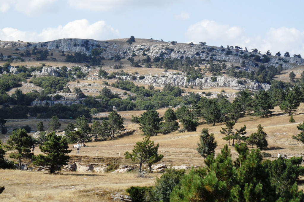  2011.08.25 16.42.52.JPG