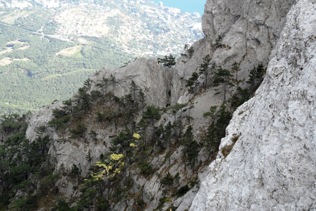  2011.08.25 17.01.50.JPG