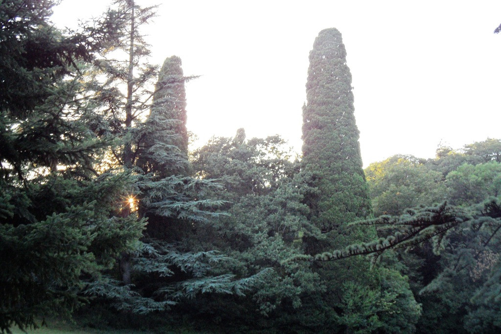  2011.08.26 19.20.46.JPG