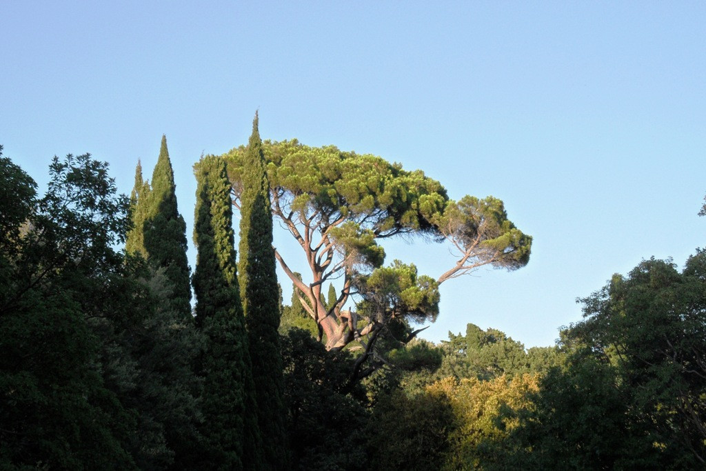  2011.08.26 19.24.49.JPG