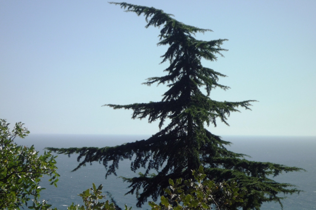  2011.08.28 17.06.27.JPG