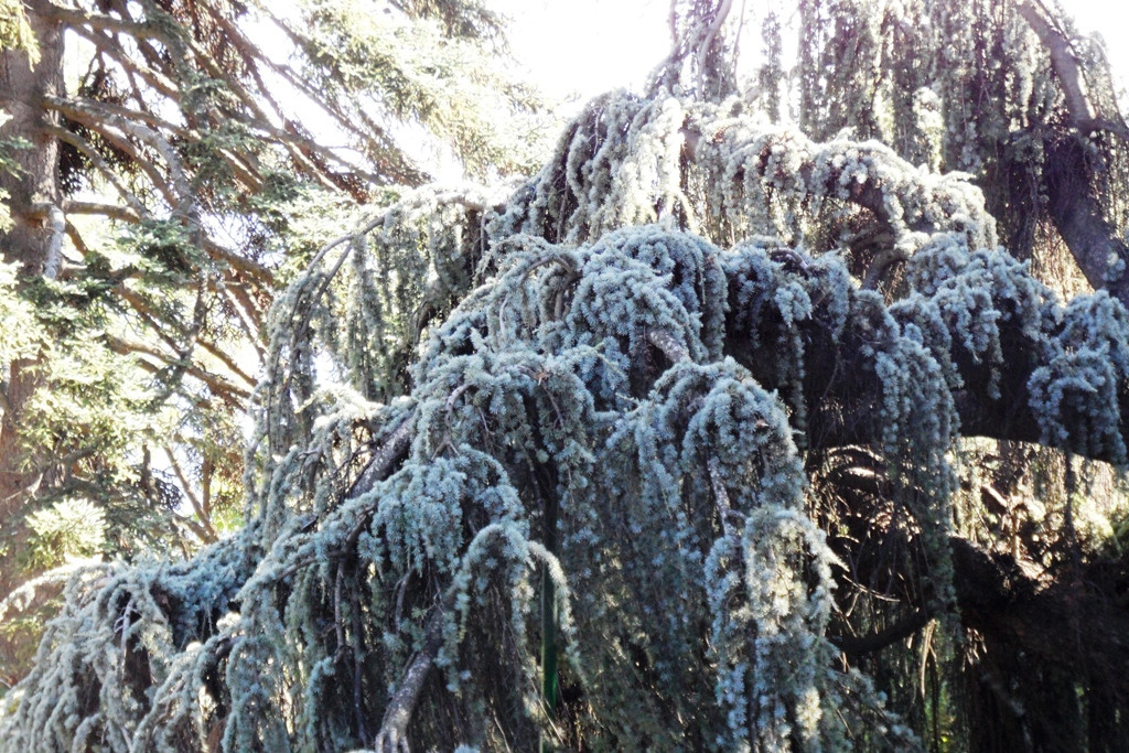  2011.08.28 17.12.13.JPG