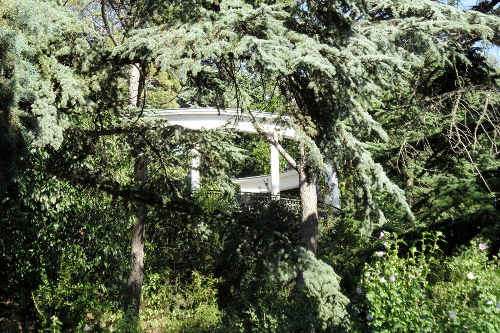  2011.08.28 17.20.10.JPG
