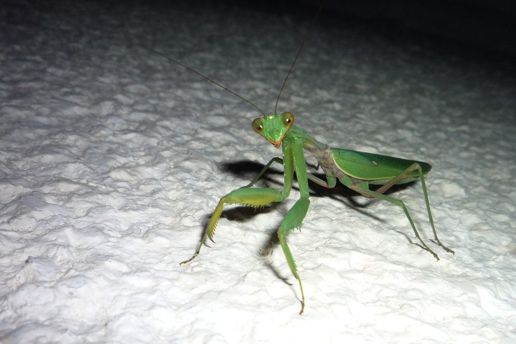  2011.08.28 22.56.26.JPG