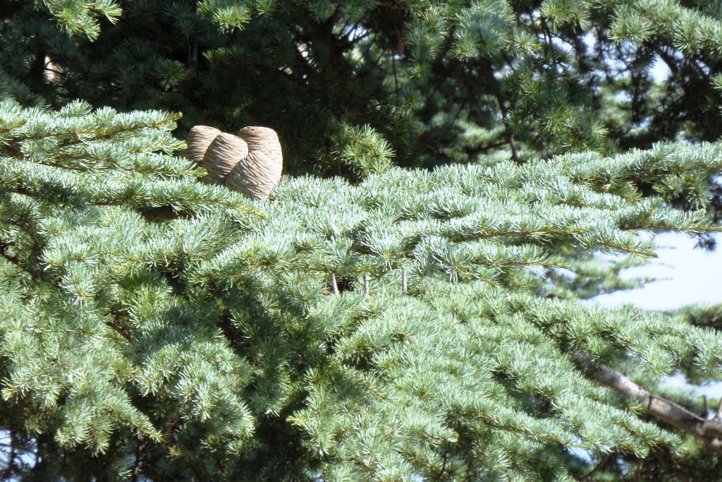  2011.08.30 16.44.17.JPG