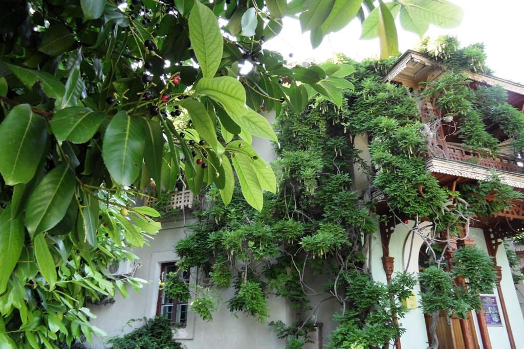  2011.08.30 17.00.52.JPG