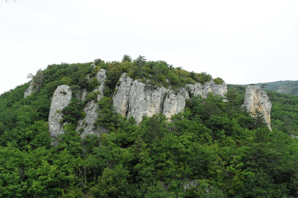  2011.08.31 11.07.57.JPG