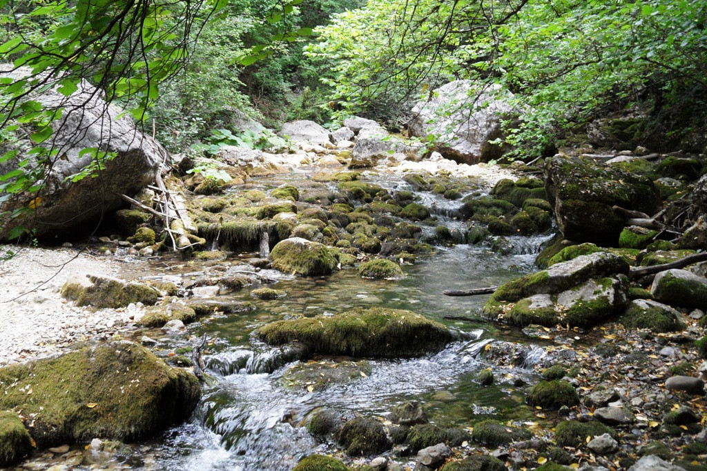  2011.08.31 11.46.24.JPG
