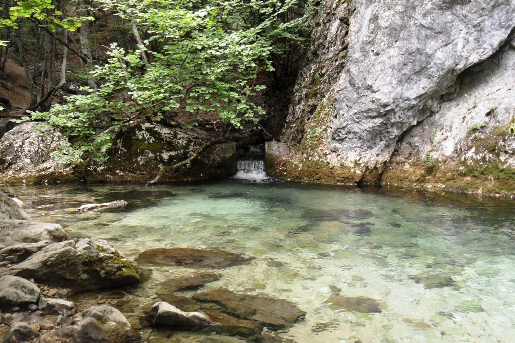  2011.08.31 12.08.44.JPG