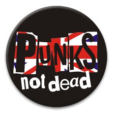  56  - Punks not dead.jpg