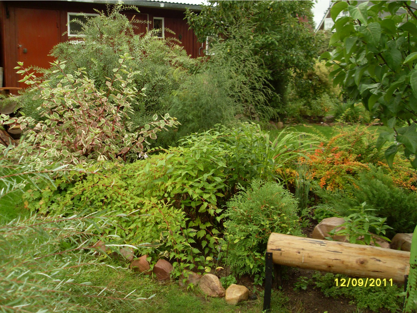 SDC17211.JPG