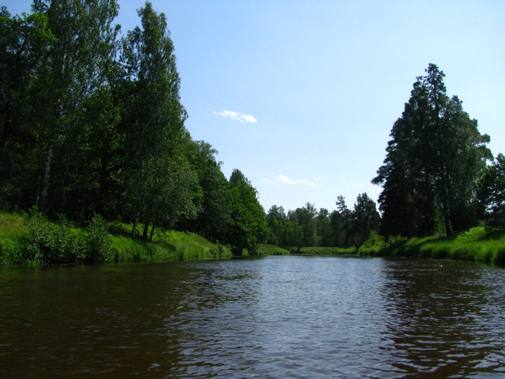 16.06.2010 10:20:07