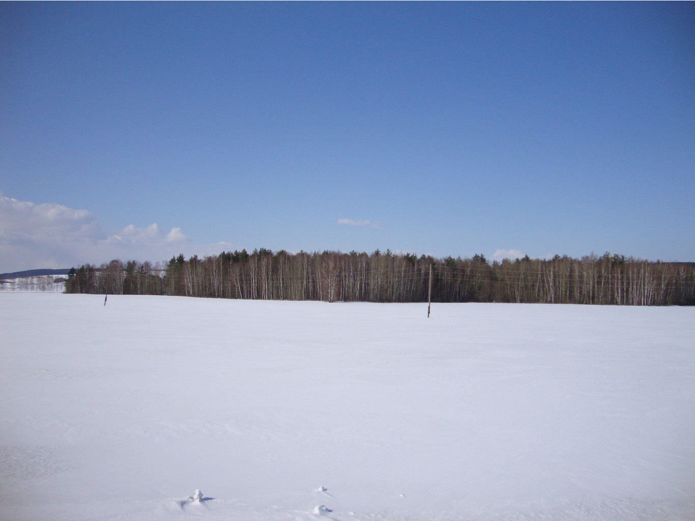 DSC06362.JPG