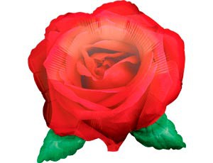 Роза Красная.jpg
