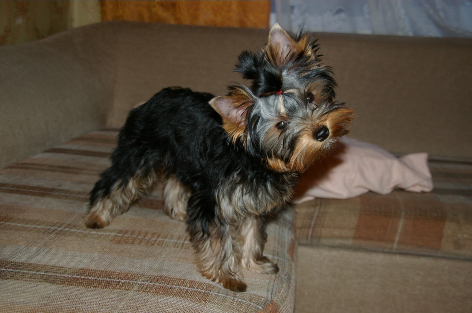 SG1L0008.JPG