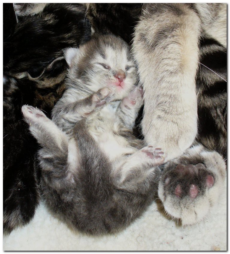 19.06.2010 13:18:26