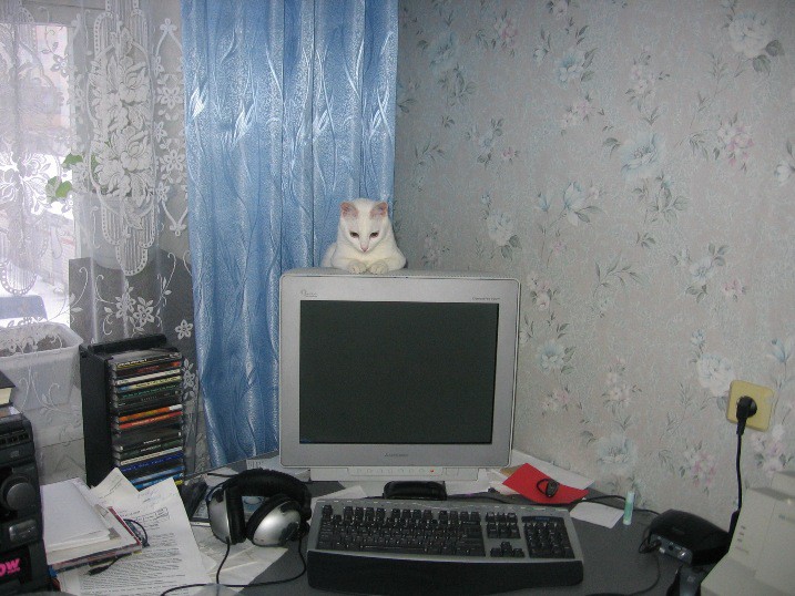 заседаем