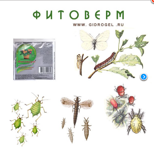 Фитоверм( 4 мл)_15 руб+%